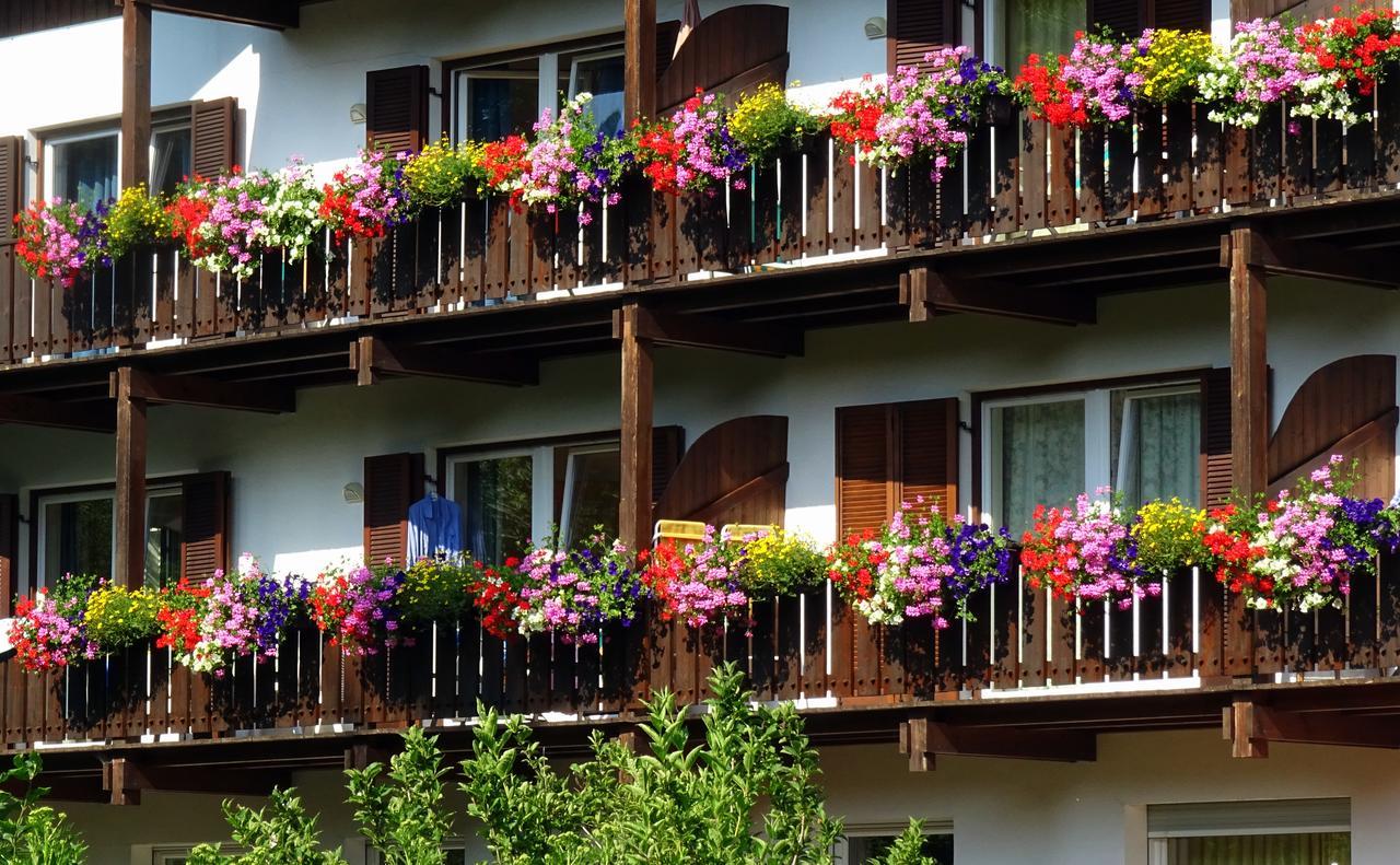 Hotel & Appartements Perwanger Fie allo Sciliar Exterior photo